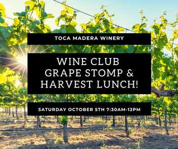 Wine Club Grape Stomp & Lunch Oct 5th 1