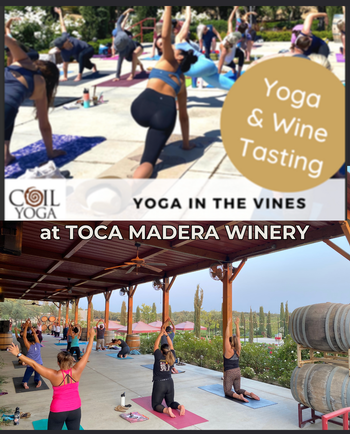 Yoga in the Vines with Katie Flinn 1