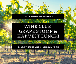 Wine Club Grape Stomp & Lunch
