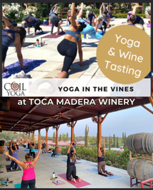 Yoga in the Vines with Katie Flinn